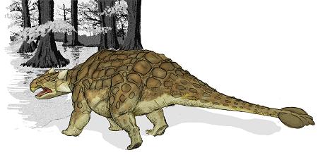 Ankylosaurus picture 5