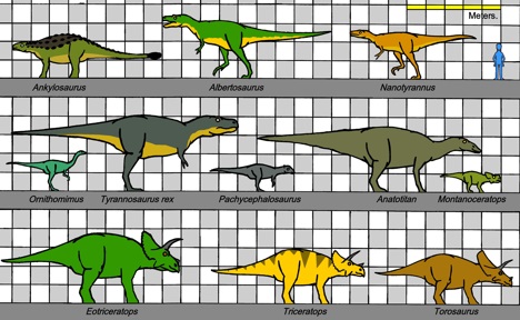 Dinosaur size comparison